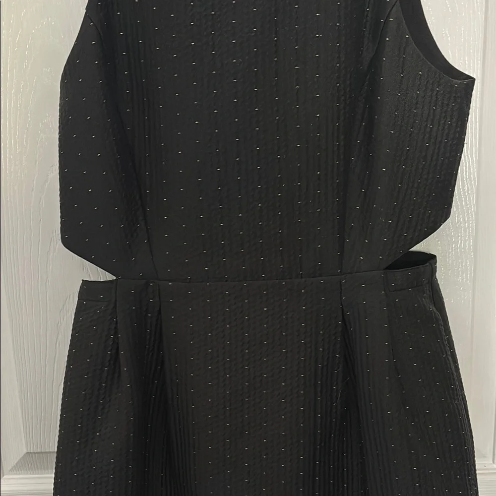Madewell Black Sleeveless Dress - Picture 5 of 7